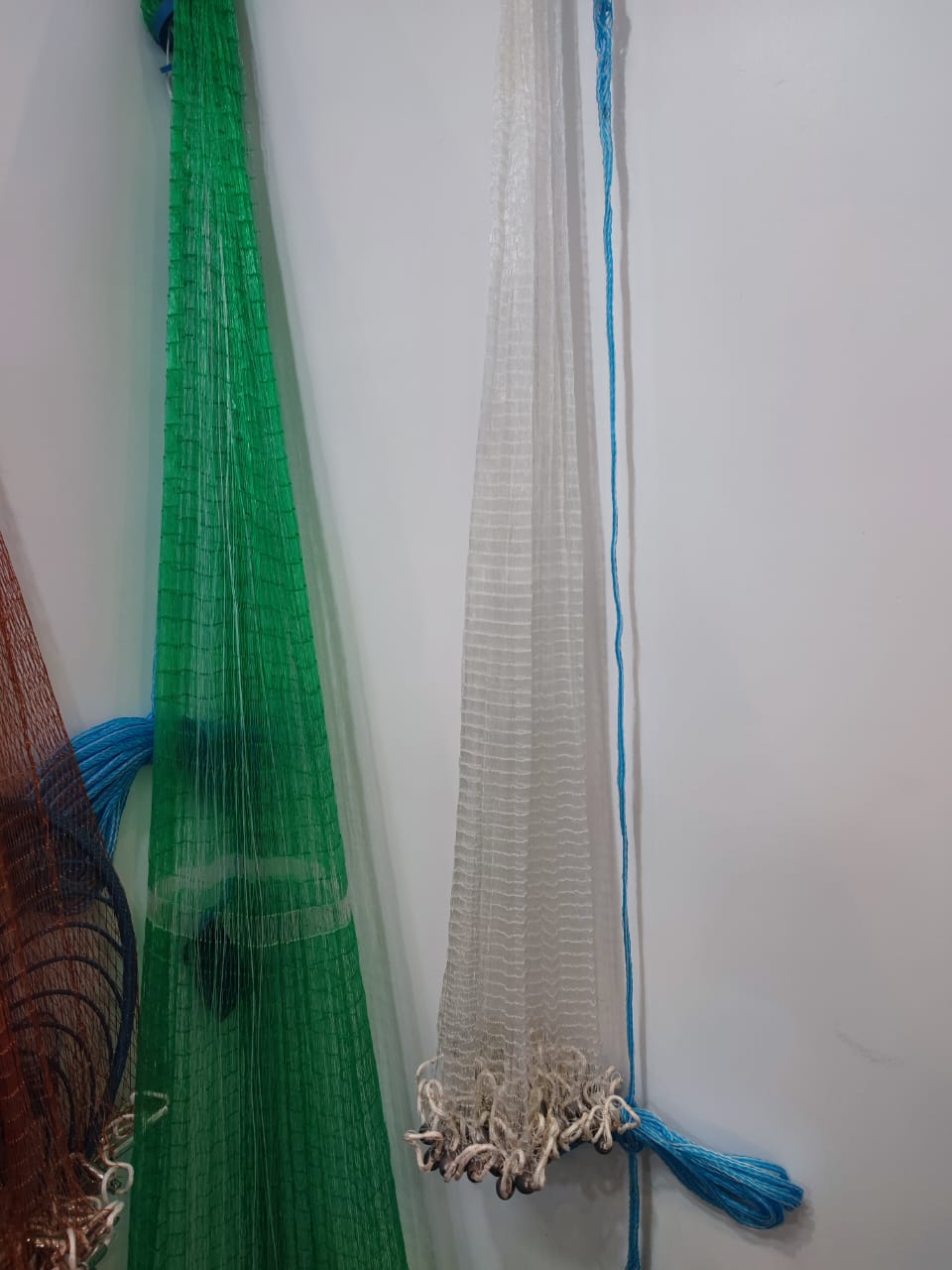展会3.jpg
